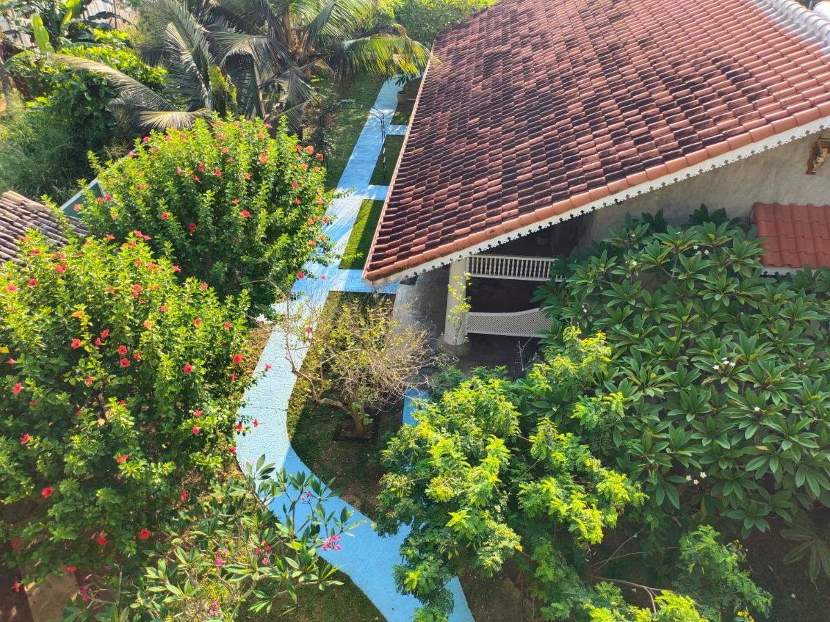 Thambili Cabanas Hikkaduwa Exterior foto